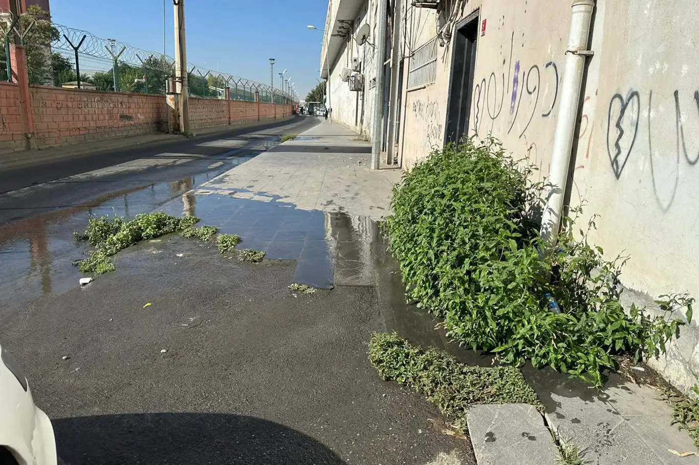 Batman'da patlayan içme suyu boruları günlerdir onarılmıyor