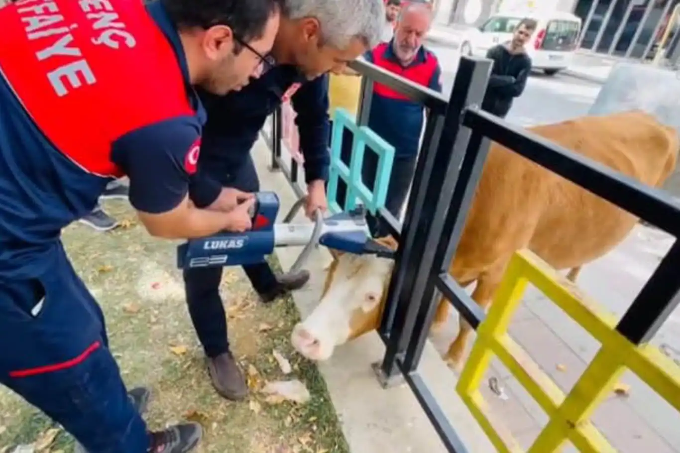 Bingöl’de demir korkuluklara sıkışan inek, itfaiye ekiplerince kurtarıldı