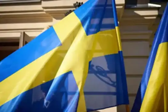 Sweden allocates over $350 million to strengthen counter-drone defense