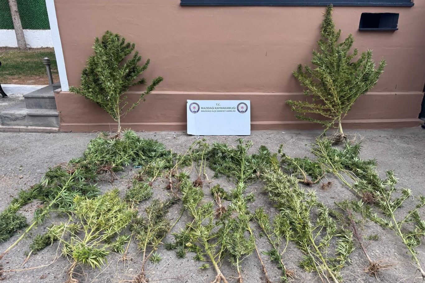 Mardin’de uyuşturucu operasyonu: 3 gözaltı