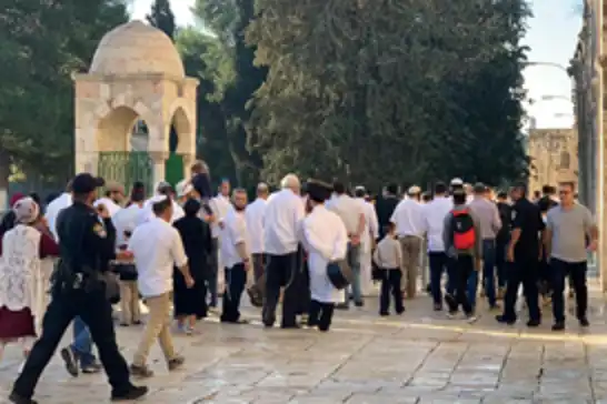 هێرشی دەیان جولەکەی سەهیۆنی بۆ سەر حەرەمی مزگەوتی ئەقسا