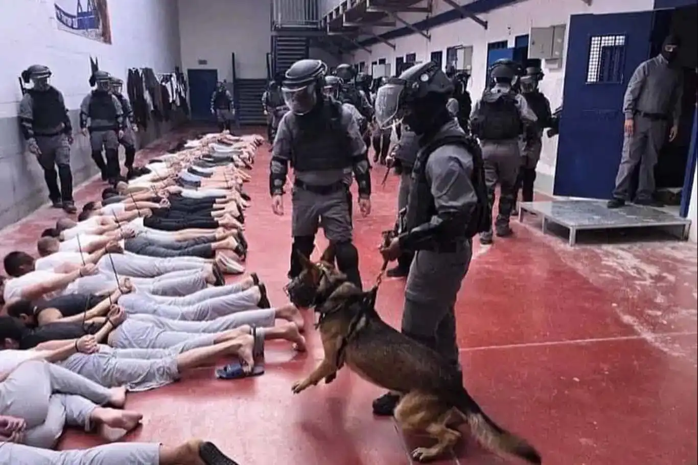 تەرمی دیلە فەلەستینییەکان نیشاندەری لووتکەی ڕەفتارە فاشیستییەکانی رژێمی داگیرکەرە تەرمی دیلە فەلەستینییەکان نیشاندەری لووتکەی ڕەفتارە فاشیستییەکانی رژێمی داگیرکەرە