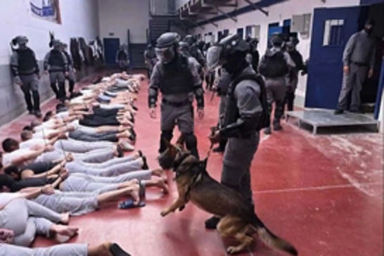 135 mutilated Palestinian bodies returned from Israel’s Sde Teiman death camp