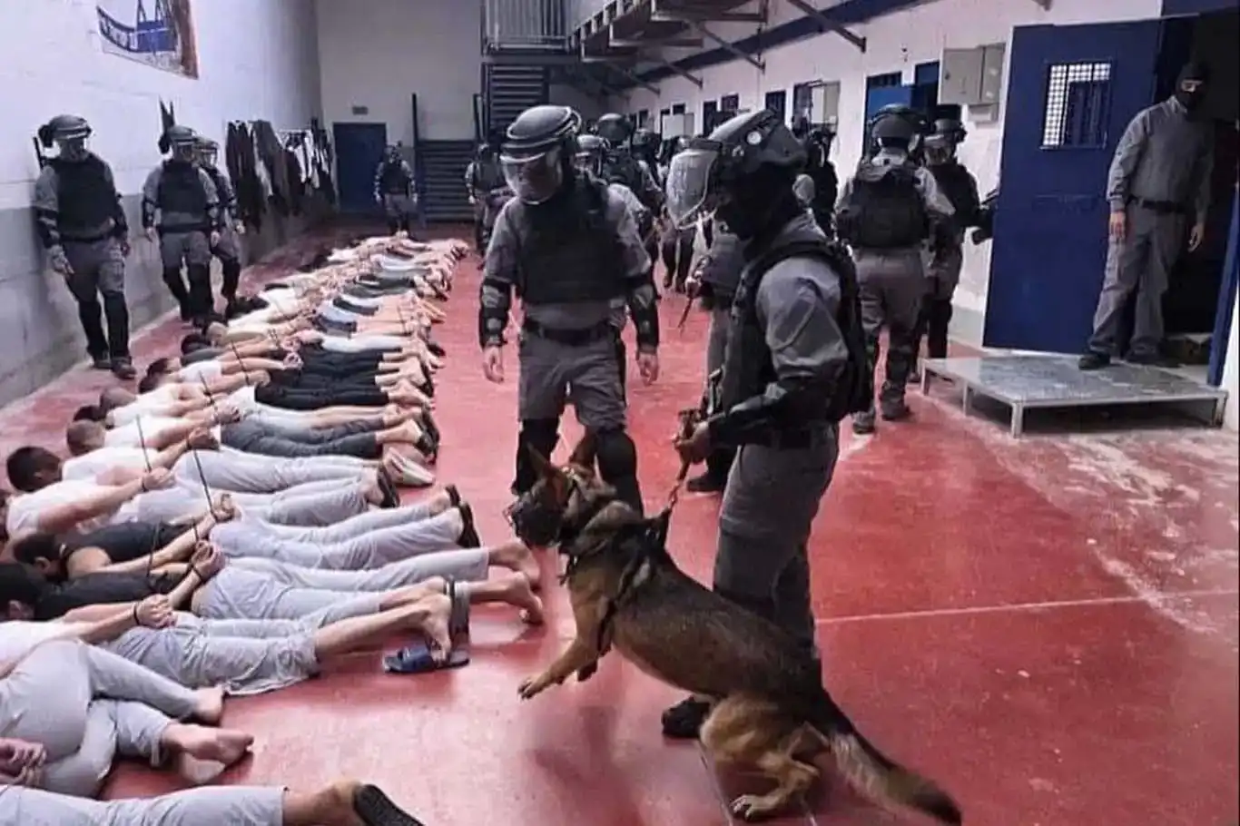 مجزرة سدي تيومان: وصول جثامين 135 فلسطينيًا من ضحايا التعذيب والإعدام الميداني إلى غزة مجزرة سدي تيومان: وصول جثامين 135 فلسطينيًا من ضحايا التعذيب والإعدام الميداني إلى غزة
