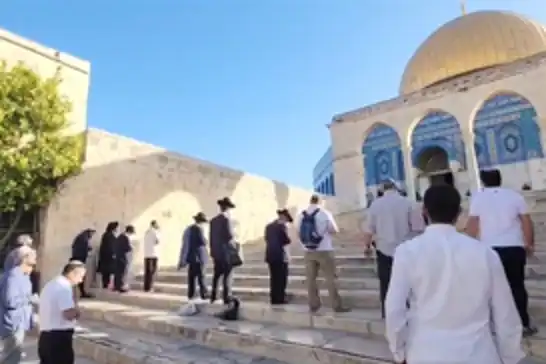 اقتحامات استفزازية ممنهجة: "صهاينة يؤدون طقوس التلمود داخل باحات المسجد الأقصى"