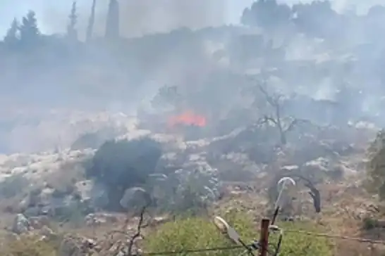 Israeli settlers torch 3 Palestinian tents in Yatta, Hebron