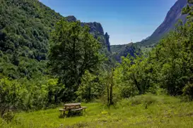 "Yeşil Vatan Seferberliği" başlatılacak "Yeşil Vatan Seferberliği" başlatılacak