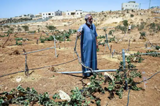 الاحتلال الصهيوني يصادر 400 دونم من أراضي الفلسطينيين في الضفة الغربية