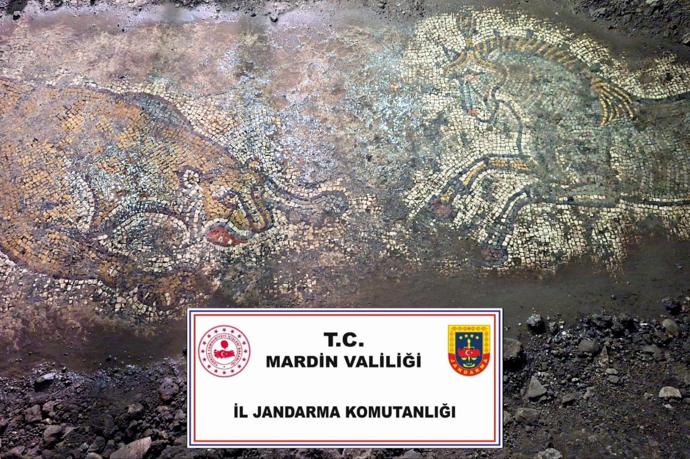 Mardin’de bin 500 yıllık mozaik ele geçirildi Mardin’de bin 500 yıllık mozaik ele geçirildi