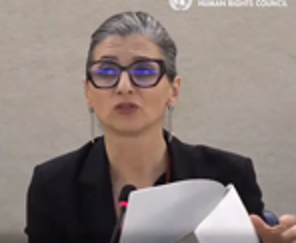 UN rapporteur: Gaza ceasefire fails to stop Israeli genocide