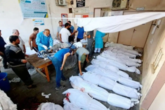 WHO calls for urgent access to evacuate critical patients from Gaza