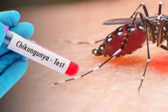 Çin'de Chikungunya ateşi hastalığı yayılıyor