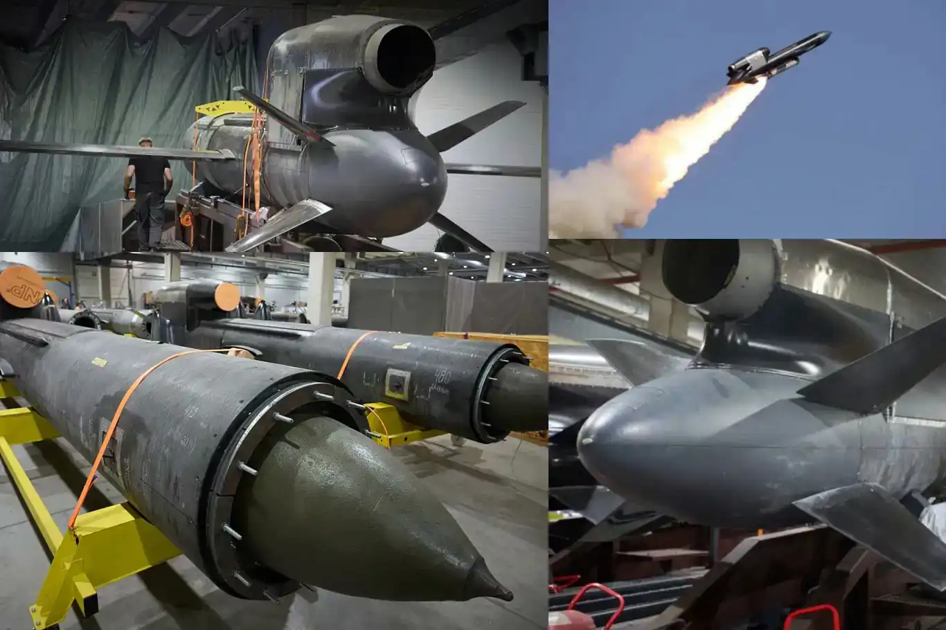 Czechs crowdfund nearly €550,000 in two days for Ukraine’s Flamingo missile Czechs crowdfund nearly €550,000 in two days for Ukraine’s Flamingo missile