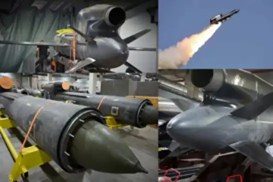 Czechs crowdfund nearly €550,000 in two days for Ukraine’s Flamingo missile