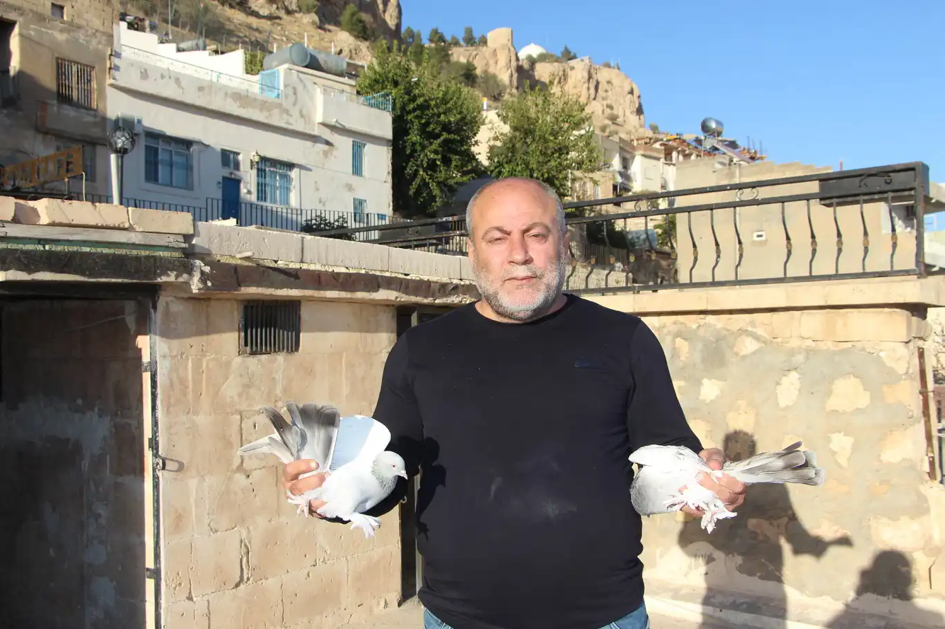 Kadim Kentin Kadim Mirası: Mardin güvercini Kadim Kentin Kadim Mirası: Mardin güvercini