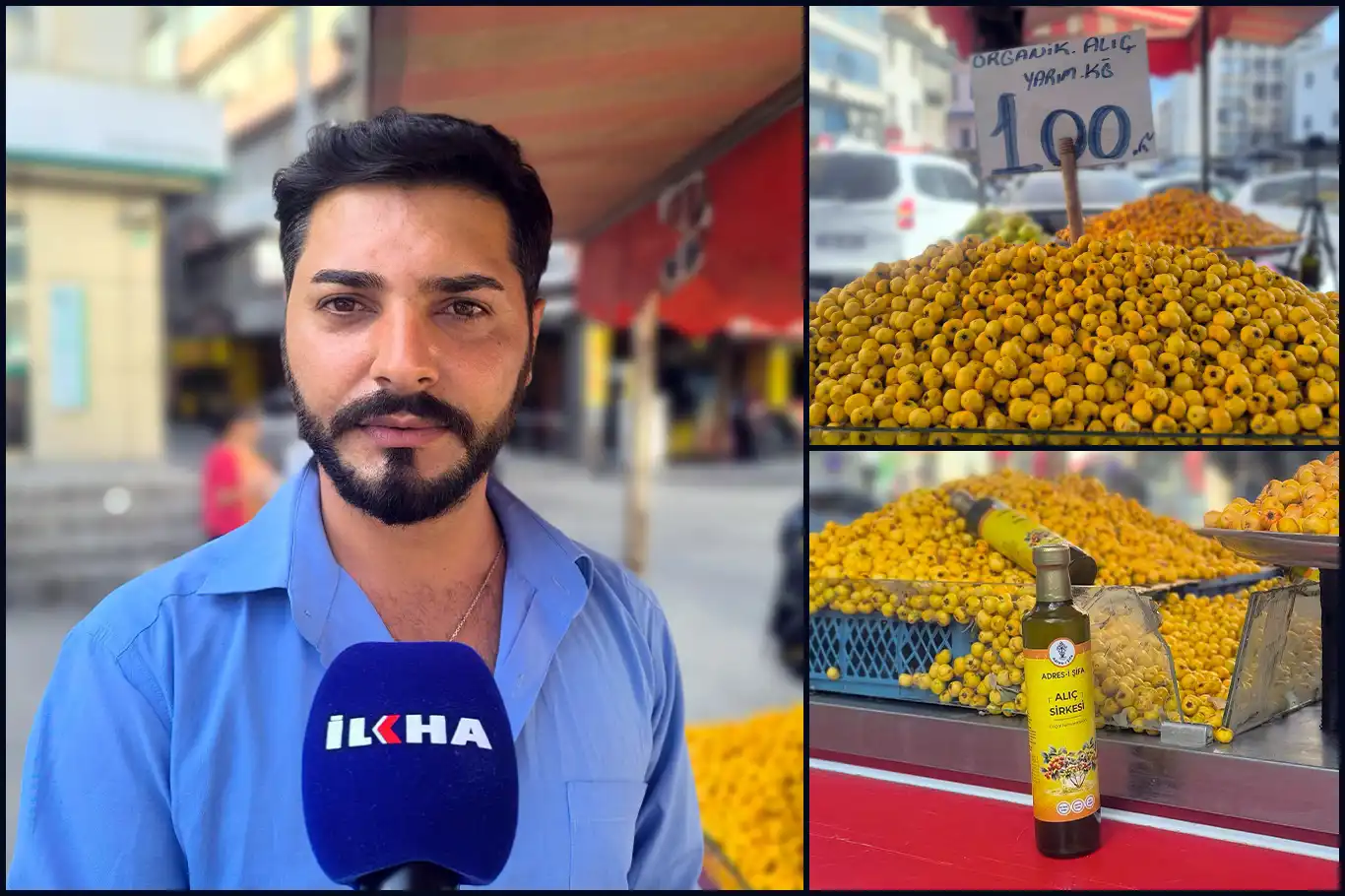 Dağlardan tezgahlara şifa geldi: Adana’da alıç sezonu başladı Dağlardan tezgahlara şifa geldi: Adana’da alıç sezonu başladı