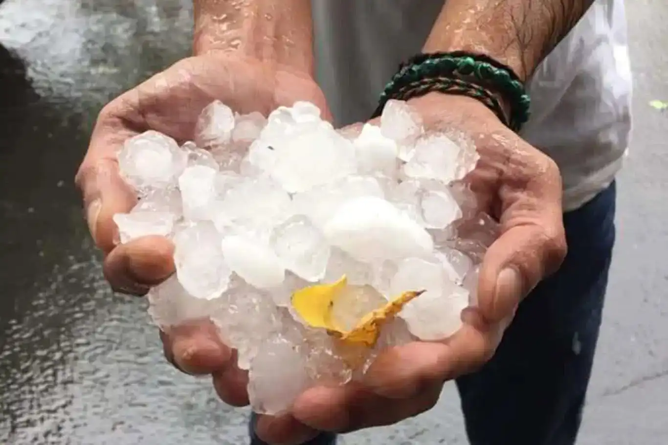 Elazığ'da dolu yağışı etkili oldu Elazığ'da dolu yağışı etkili oldu