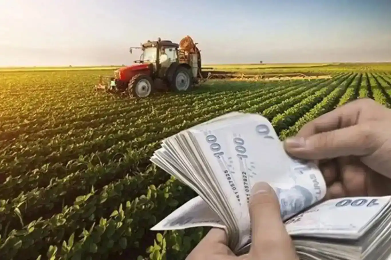 Çiftçilere 349 milyon liralık destek bugün hesaplarda