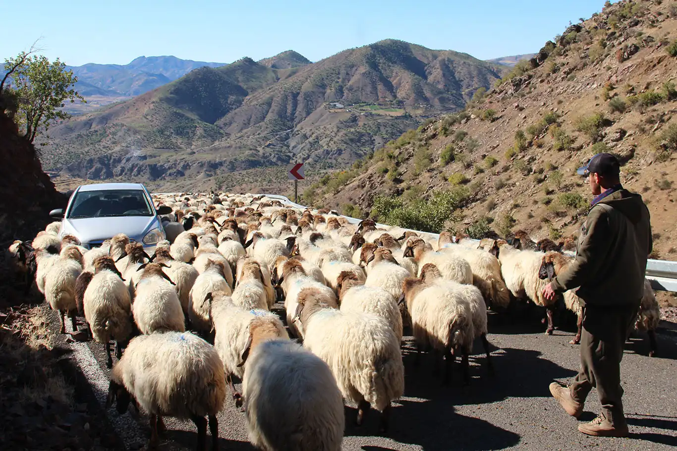 Göçerlerin aylarca süren zorlu göç yolculuğu başladı Göçerlerin aylarca süren zorlu göç yolculuğu başladı