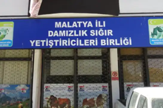 Malatya Damızlık Sığır Yetiştiricileri Birliği 'Birinci sınıf' seçildi