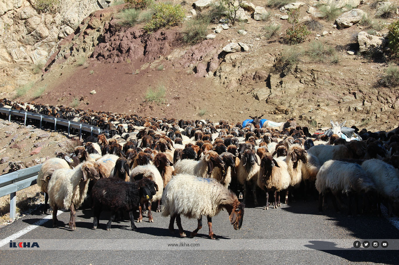 Koçeran dest bi koçberîyê kirin Koçeran dest bi koçberîyê kirin