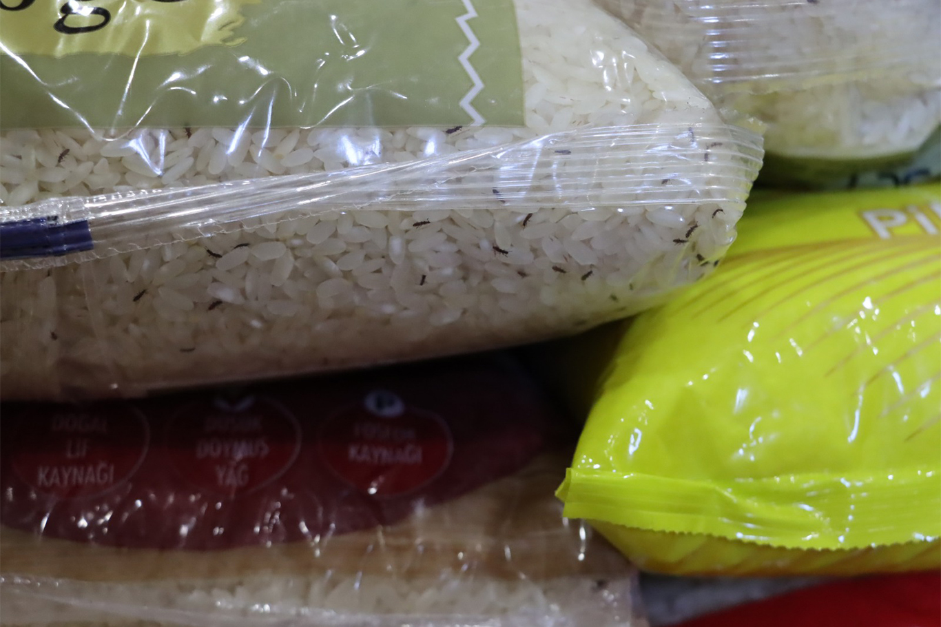 Şanlıurfa’da zabıtadan gıda denetimi: Bozulmuş ürünler ele geçirildi Şanlıurfa’da zabıtadan gıda denetimi: Bozulmuş ürünler ele geçirildi