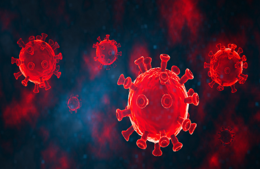 تحذير عالمي.. فيروس كورونا جديد في خفافيش البرازيل يهدد بجائحة محتملة تحذير عالمي.. فيروس كورونا جديد في خفافيش البرازيل يهدد بجائحة محتملة