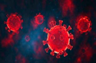 تحذير عالمي.. فيروس كورونا جديد في خفافيش البرازيل يهدد بجائحة محتملة