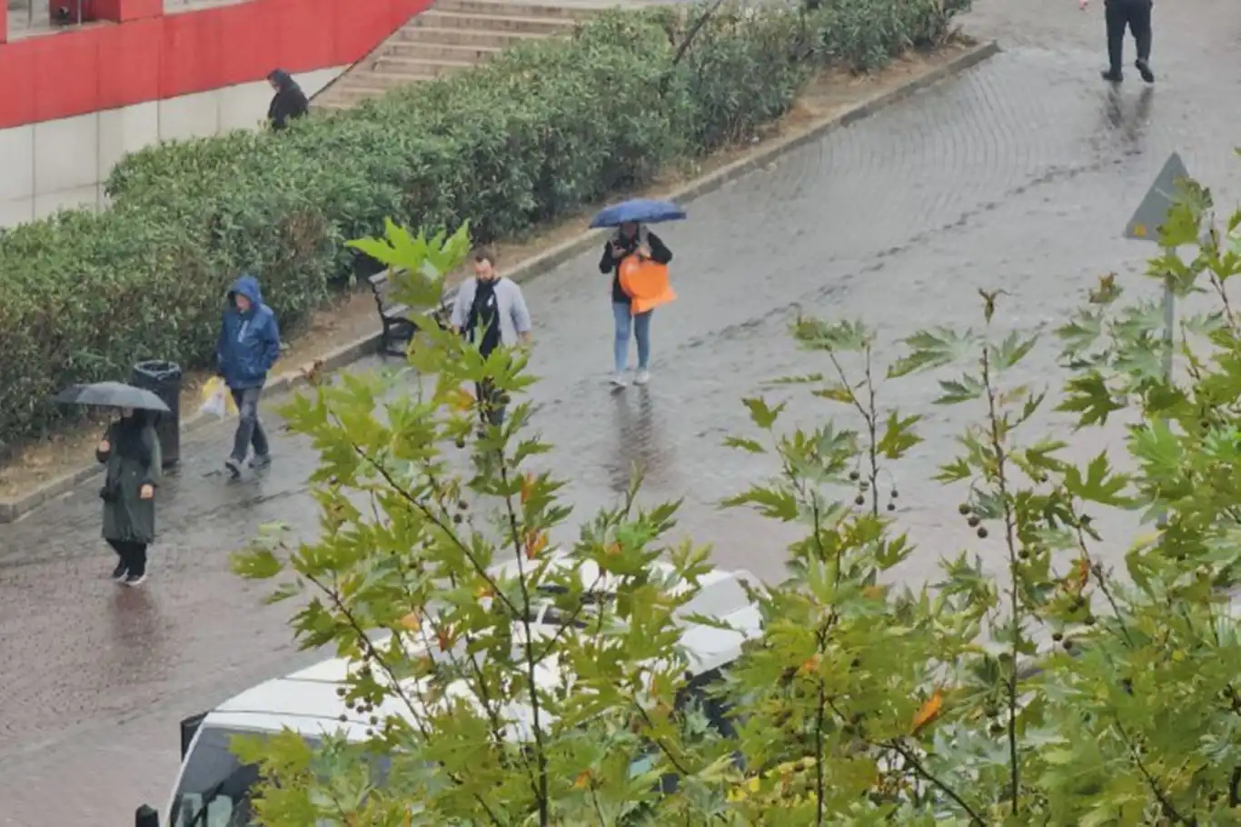 Susuzluğun pençesindeki Bursa'da yağış sevinci