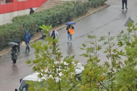 Susuzluğun pençesindeki Bursa'da yağış sevinci