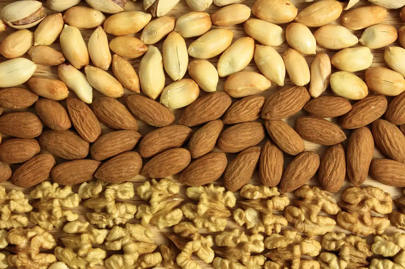 144 ülkeye 1 milyar 222 milyon dolarlık kuru meyve ihracatı