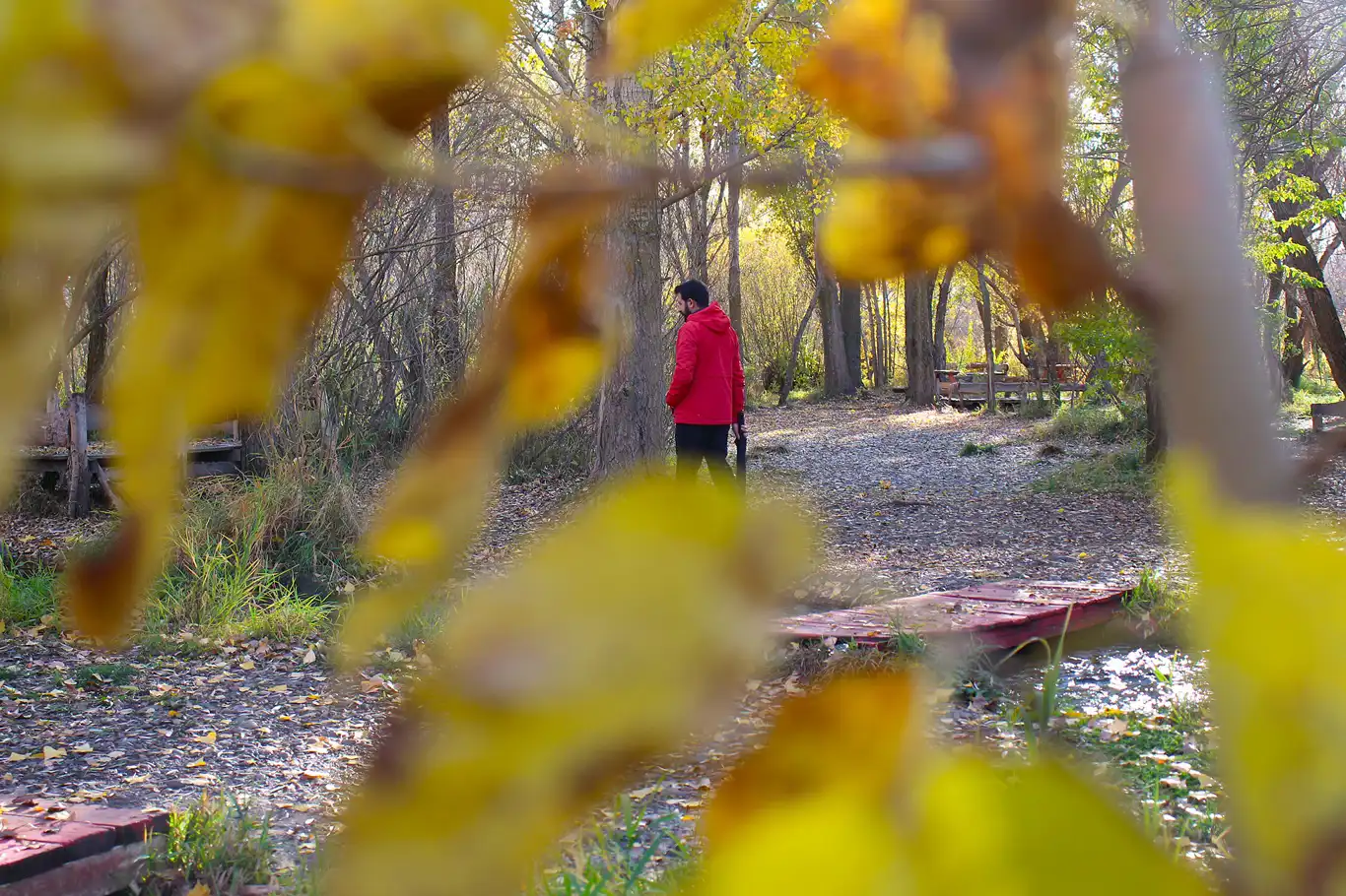 Hafta sonu hava nasıl olacak? Hafta sonu hava nasıl olacak?