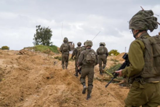 UN report: 87% of Gaza’s farmland destroyed by Israeli war