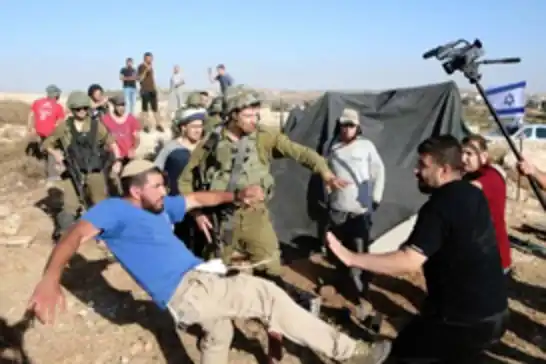 259 اعتداءً من الاحتلال خلال موسم قطف الزيتون