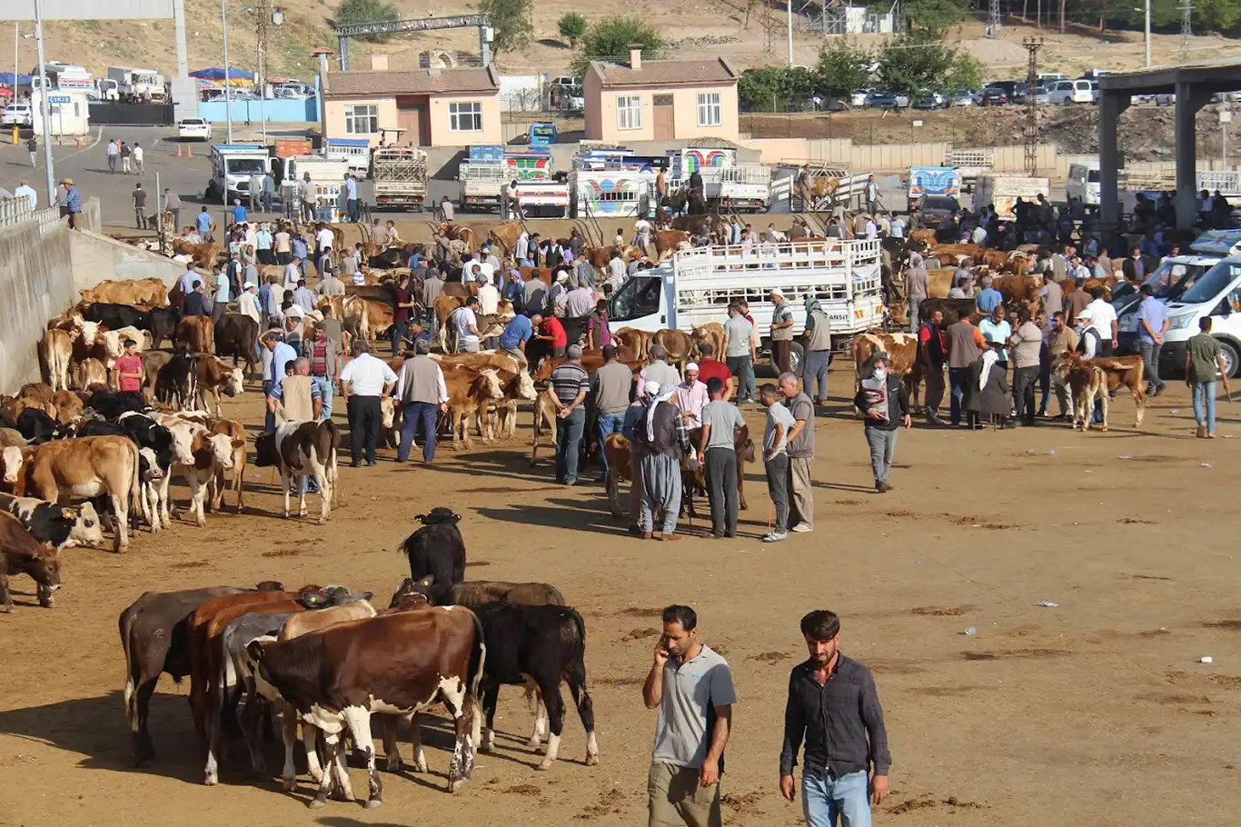Diyarbakır hayvan pazarı 4 ay sonra yeniden açıldı