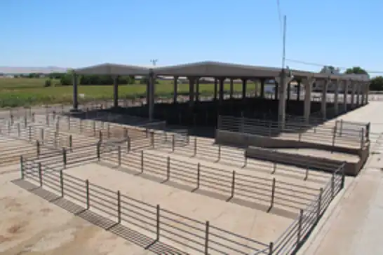 Batman'da hayvan pazarı yeniden açıldı