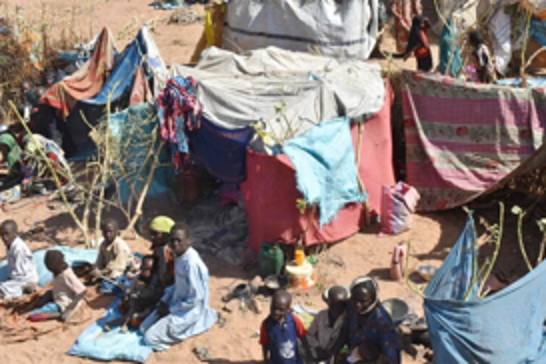 WHO Chief calls for end to violence in Sudan after doctor killed in El-Fasher