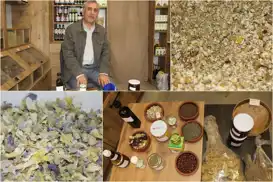 Bağışıklık sistemini güçlü tutmak için şifalı bitkilerle kışa hazırlık