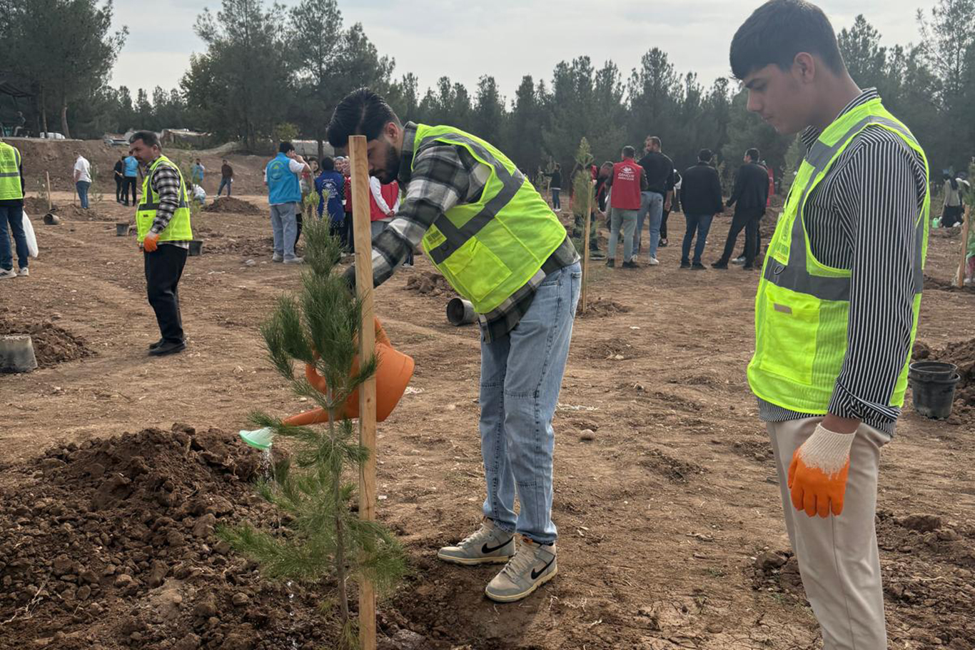Umut Kervanı'ndan Milli Ağaçlandırma Günü'ne destek