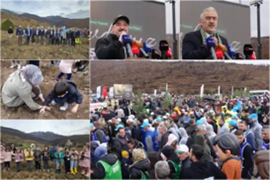Milli Ağaçlandırma Günü'nde Bursa'da yangından etkilenen bölgelerde fidan dikimi gerçekleştirildi