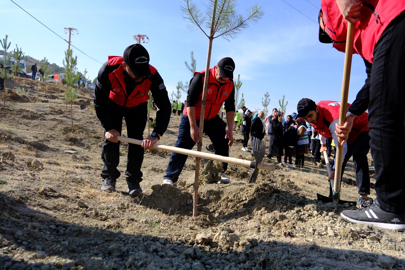 Umut Kervanı Van’da fidan dikim etkinliğine destek verdi