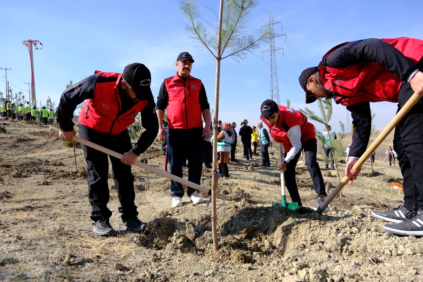 Umut Kervanı Van’da fidan dikim etkinliğine destek verdi