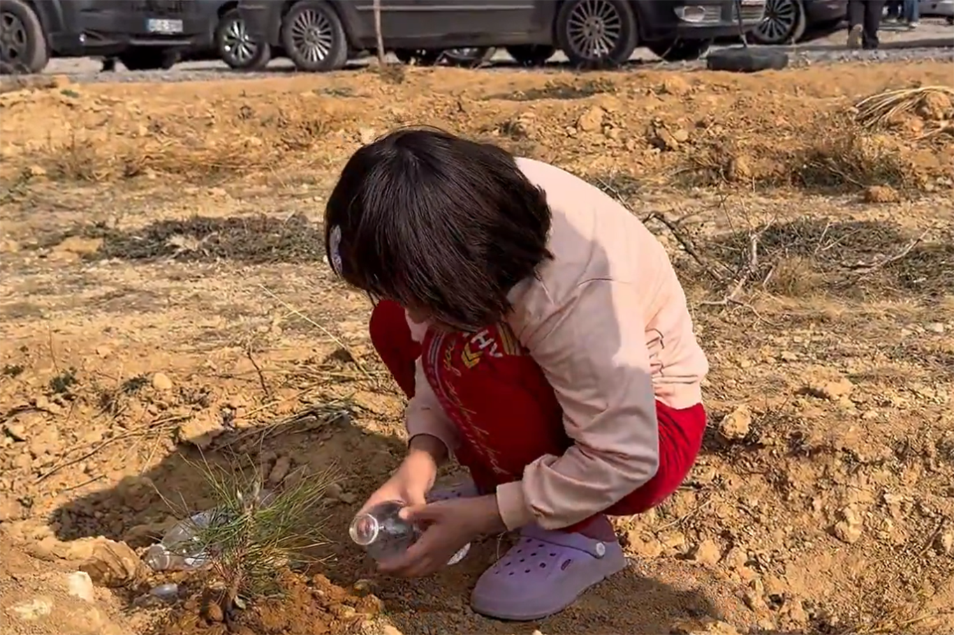 Konya'da bir günde 33 binden fazla fidan toprakla buluştu