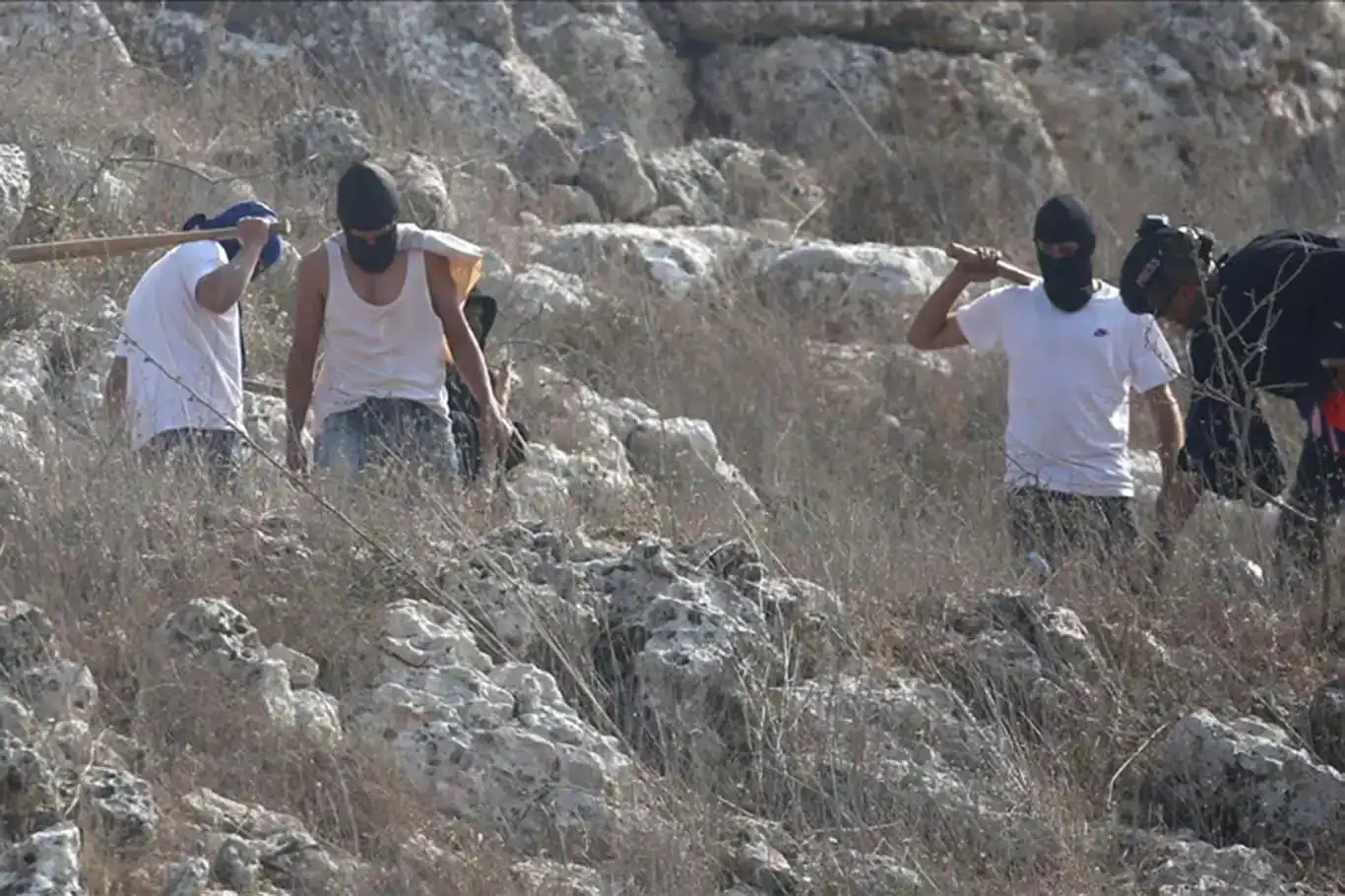 عصابات يهودية تهاجم الفلسطينيين في القدس والأغوار