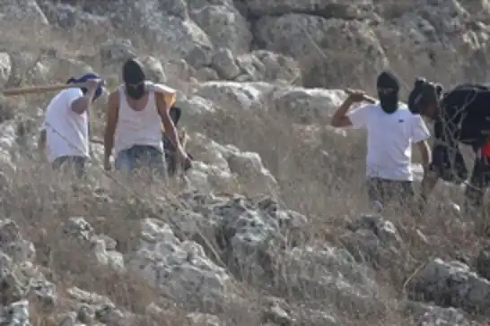 عصابات يهودية تهاجم الفلسطينيين في القدس والأغوار