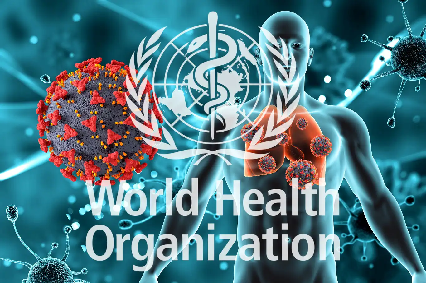 DSÖ: Verem hâlâ dünyanın en ölümcül bulaşıcı hastalıklarından biri