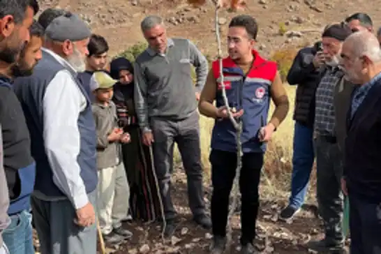 Üreticilere Siirt fıstığında doğru budama eğitimi