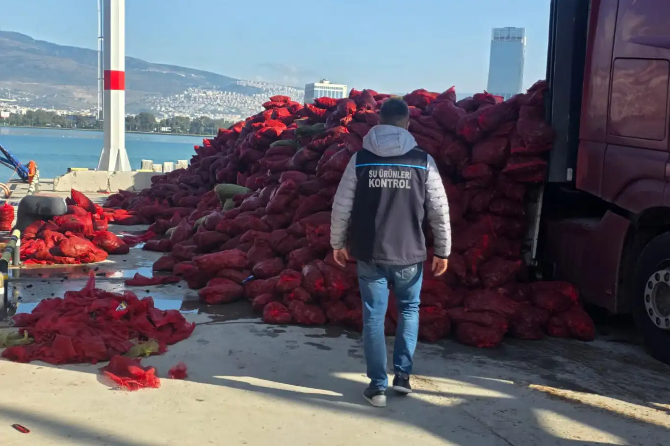 İzmir’de 27 ton kaçak midye ele geçirildi