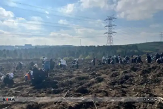 غرس 10 آلاف شتلة في إسطنبول تخليدًا لأطفال غزة الشهداء