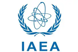 إيران تدعو الوكالة الدولية للطاقة الذرية لمواجهة الضغوط السياسية قبل أي خطة غربية محتملة